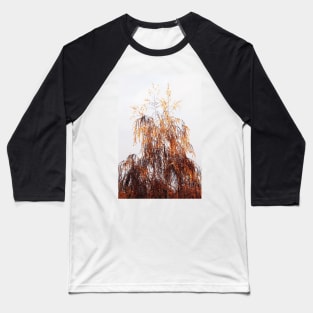 Autumn Birch Tree Baseball T-Shirt